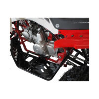 EAGLE125_detale2