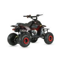 benzininis-keturratis-110cc-qwmoto-crusader-super-edition-6c_57f801-crop-h-1000