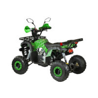 benzininis-keturratis-125cc-qwmoto-hunter-super-edition_291e00-crop-h-1000s