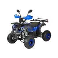 benzininis-keturratis-125cc-qwmoto-hunter-super-edition_5a98b3-crop-h-1000s