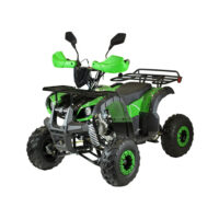 benzininis-keturratis-125cc-qwmoto-hunter-super-edition_8b2630-crop-h-1000s