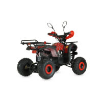 benzininis-keturratis-125cc-qwmoto-hunter-super-edition_e3835b-crop-h-1000