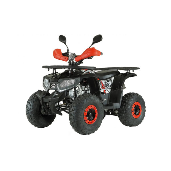 Benzininis keturratis 125cc QWMOTO Trex 8c