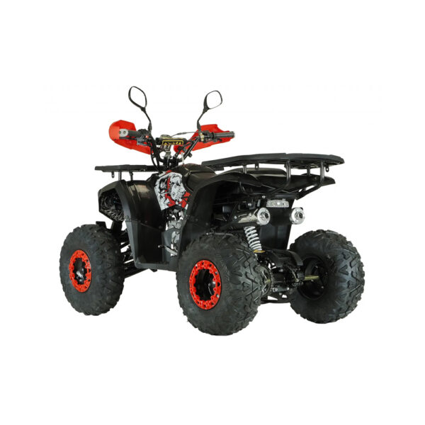 Second image of Benzininis keturratis 125cc QWMOTO Trex 8c