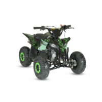 benzininis-keturratis-qwmoto-fox-max-110cc_180486-crop-h-1000
