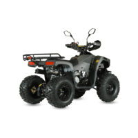 benzininis-keturratis-qwmoto-tiger-forest-125cc_2fa5f0-crop-h-1000