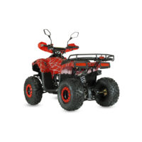benzininis-keturratis-qwmoto-tiger-forest-125cc_509371-crop-h-1000