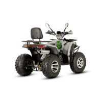 benzininis-keturratis-raze-200cc-gy6-automatas_89ab62-crop-h-998
