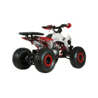 keturratis-benzininis-125cc-atv-eagle_793f78-crop-h-1000s