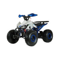 keturratis-benzininis-125cc-atv-eagle_bc4bfa-crop-h-1000s