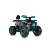 keturratis-benzininis-125cc-atv-raptor_311b9f-crop-h-1000