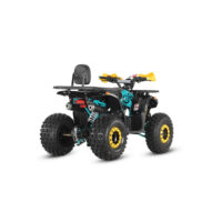 keturratis-benzininis-125cc-atv-raptor_f921f1-crop-h-1000