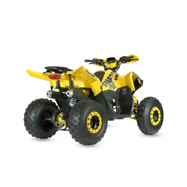 Second image of Benzininis keturratis 125CC ATV TERRAX OFF ROAD