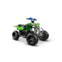 keturratis-motociklas-benzininis-125cc-atv-pentora_683585-crop-h-1000