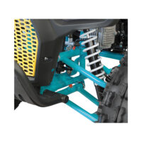 raptor125_tepimotaskai_