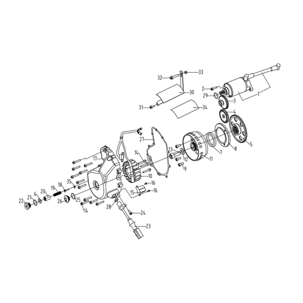Megneto & starter motor 1000cc