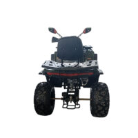 Vaikiškas keturratis 250ATV_2