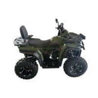 Vaikiškas keturratis 250ATV_3